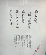 4151 ☆購入前にプロフィールご一読をの画像