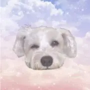 Nanagi^..^ Ⳋの画像