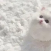 るめ