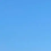 hinaの画像