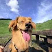 ぺんこぺんこ