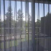 mikanの画像