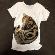 なひろの画像