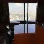 法科生キョクアジサシの画像