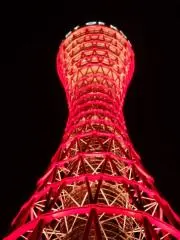 HiroFishの画像