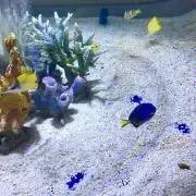 minimiの画像