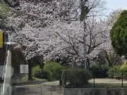 NT