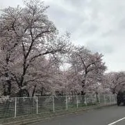 SHU☆安値販売中❗️の画像