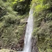 bocの画像