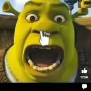 パピコの画像