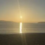 果の画像