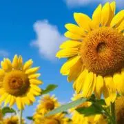 子供服★随時更新中★の画像