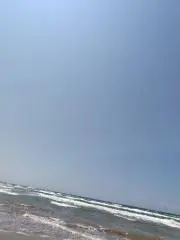 ごろんの画像