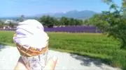 てんしょこの画像