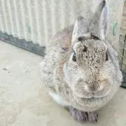 ⭐︎の画像