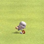 たぬきの画像