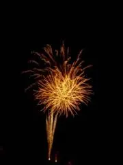 MATSURI [プロフ必読]の画像