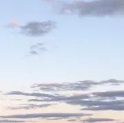 りっちゃんの画像