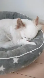 さっちゃんの画像