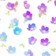 saの画像