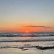 Paru-Paruの画像