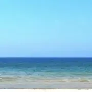 はなはな