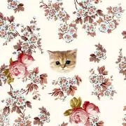 まちゃこ