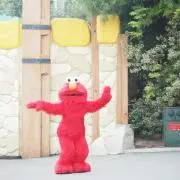 あまなつの画像