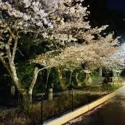 黒崎商事の画像