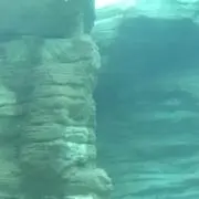 スノー⭐︎の画像