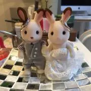 しゅんたつの画像