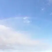みりんの画像