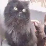 あ