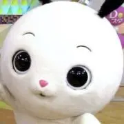 ばき