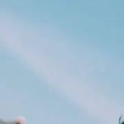 Sの画像