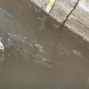 TP