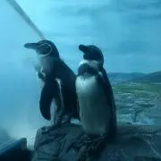 penpen