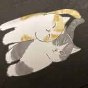 nekoの画像