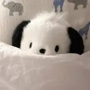 ゆの画像