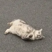 ヒロ