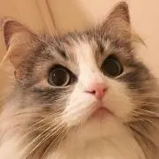 mio♡多忙につき出品停止中の画像