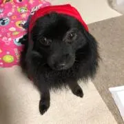 。