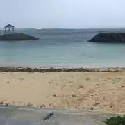ぴーの画像