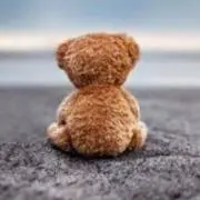 くまの画像