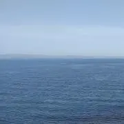 いの画像