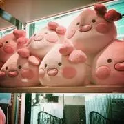 MoMoの画像