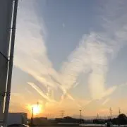 ゆっけの画像