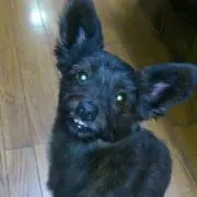 ゆーすけ※即購入OK※紹介文要確認の画像