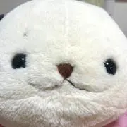 フワの画像