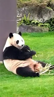 ほほほいの画像